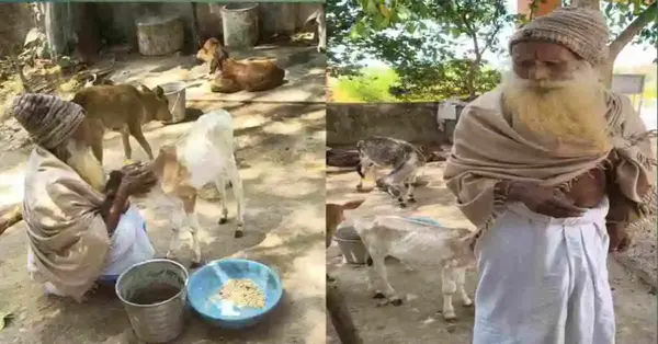 बिनु सतसंग बिबेक न होई। राम कृपा बिनु सुलभ न सोई।