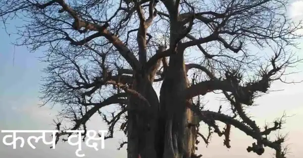 संसय,एकरूप तुम्ह भ्राता दोऊ। तेहि भ्रम तें नहिं मारेउँ सोऊ।।