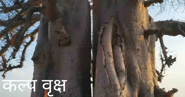 सौरज धीरज तेहि रथ चाका। सत्य सील दृढ़ ध्वजा पताका॥