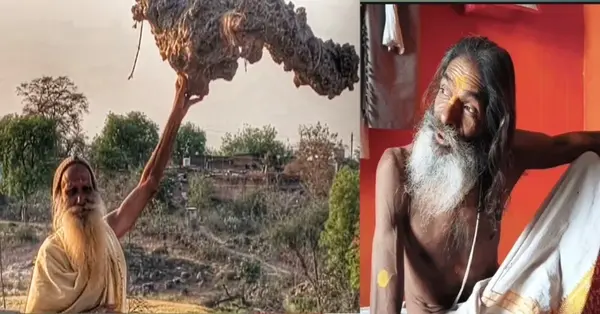 श्रवन सुजसु सुनि आयउँ प्रभु भंजन भव भीर।